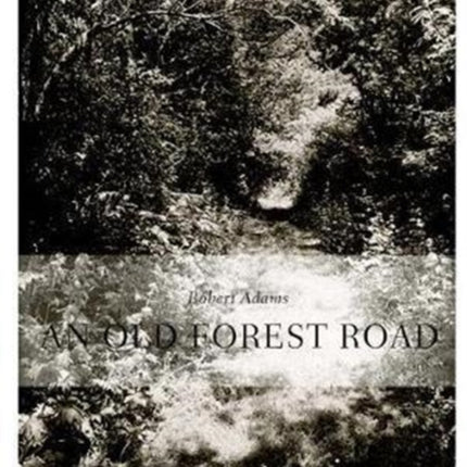 Robert Adams An Old Forest Road