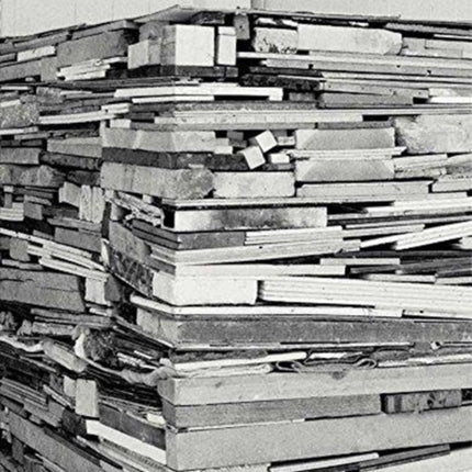 Anthony Cragg: Sculpture 1969-1985: Volume II