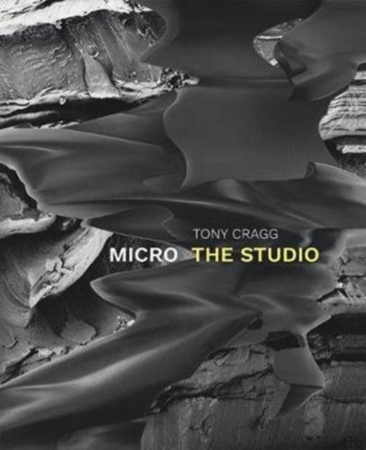 Tony Cragg. Micro - The Studio