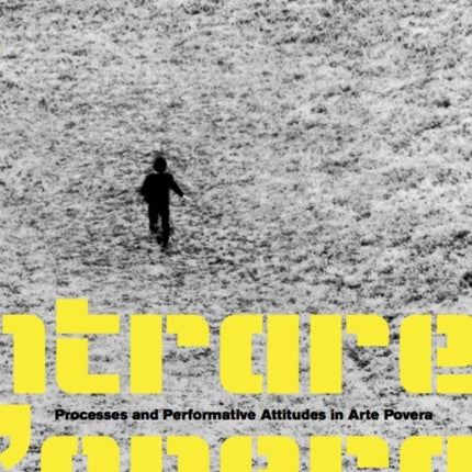 Entrare nell'opera: Processes and Performative Attitudes and Arte Povera