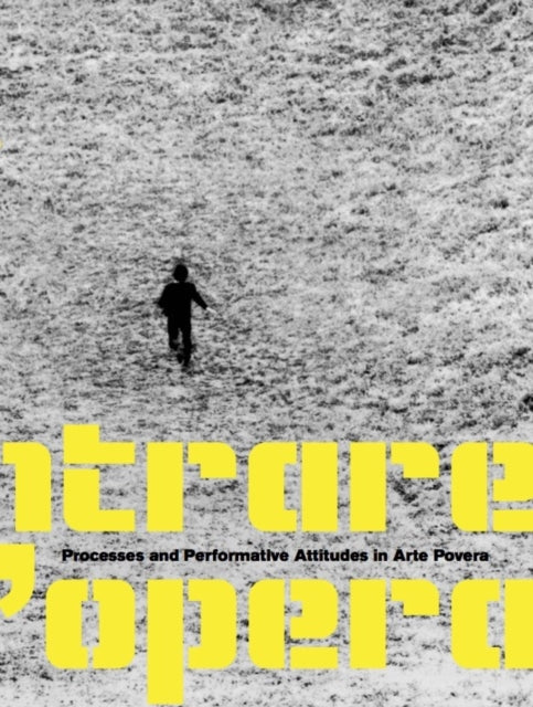 Entrare nell'opera: Processes and Performative Attitudes and Arte Povera