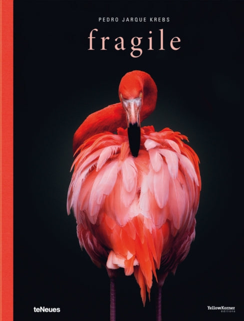 Fragile