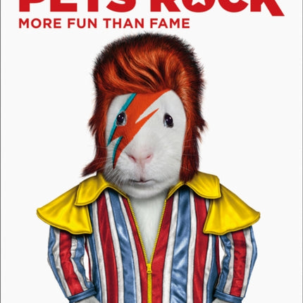 Pets Rock