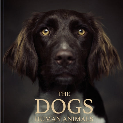 The Dogs: Human Animals