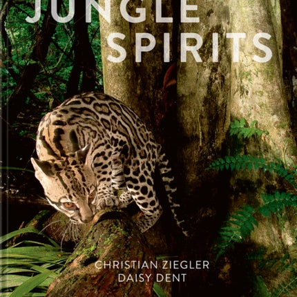 Jungle Spirits