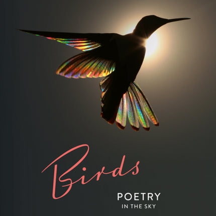 Birds: Poetry in the Sky