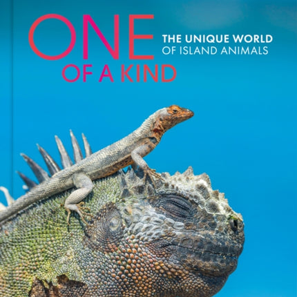 One of a Kind: The Unique World of Island Animals