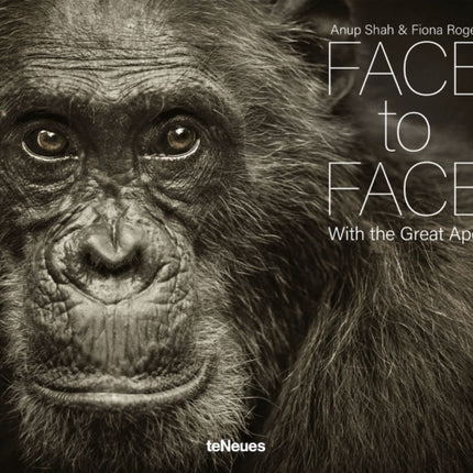 Face to Face: With the Great Apes