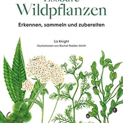 Essbare Wildpflanzen Erkennen sammeln und zubereiten