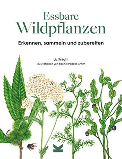 Essbare Wildpflanzen Erkennen sammeln und zubereiten