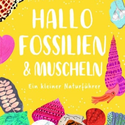 Hallo Fossilien  Muscheln