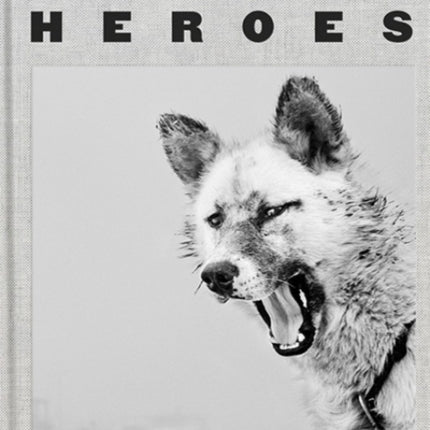 Arctic Heroes