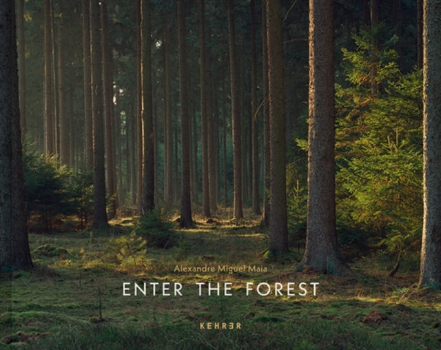 Enter The Forest