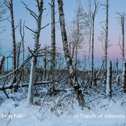In Search of Amnesia