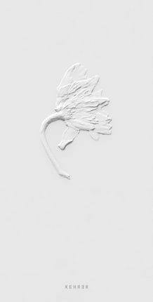 Ephemeral Field Journal