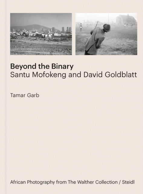 Tamar Garb Beyond the Binary