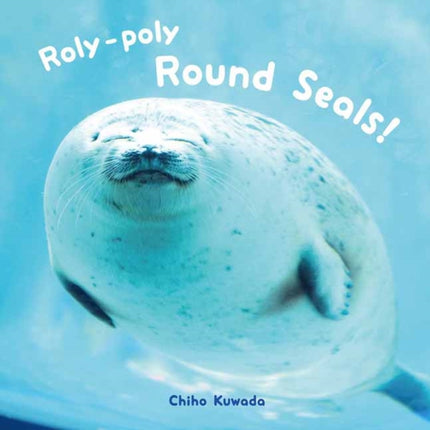 Roly-Poly Round Seals!