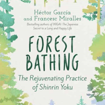 Forest Bathing: The Rejuvenating Practice of Shinrin Yoku