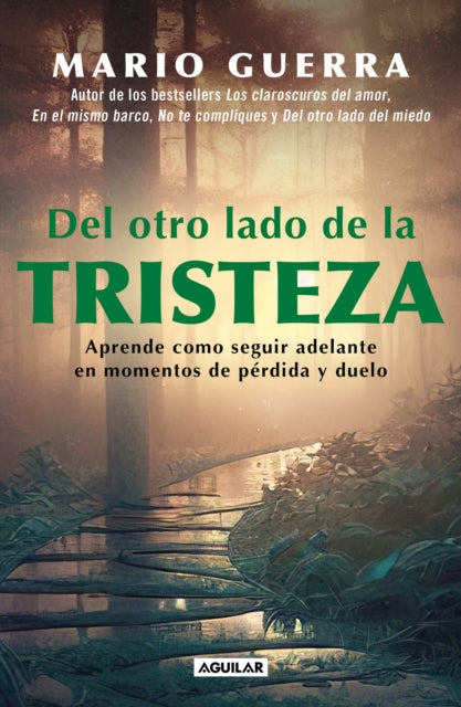 Del otro lado de la tristeza. Aprende como seguir adelante en momentos de pérdid  a y duelo / On the Other Side of Sadness. Learn How to Move on in Times of Lo