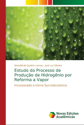 Estudo do Processo de Produção de Hidrogênio por