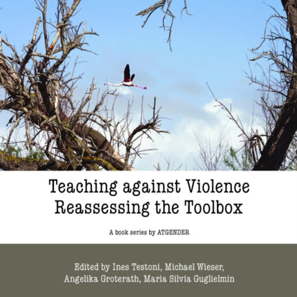 Teaching Against Violence: The Reassessing Toolbox