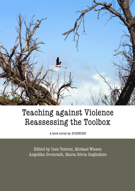 Teaching Against Violence: The Reassessing Toolbox