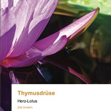 Thymusdrüse