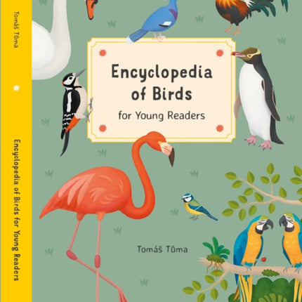 Encyclopedia of Birds: for Young Readers