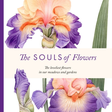 The Souls of Flowers