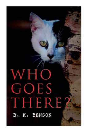 Who Goes There?: The Story of a Spy in the Civil