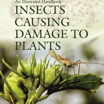 Insects Causing Damage to Plants