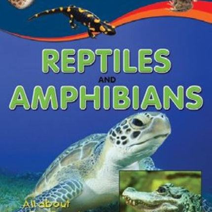 Reptiles & Amphibians