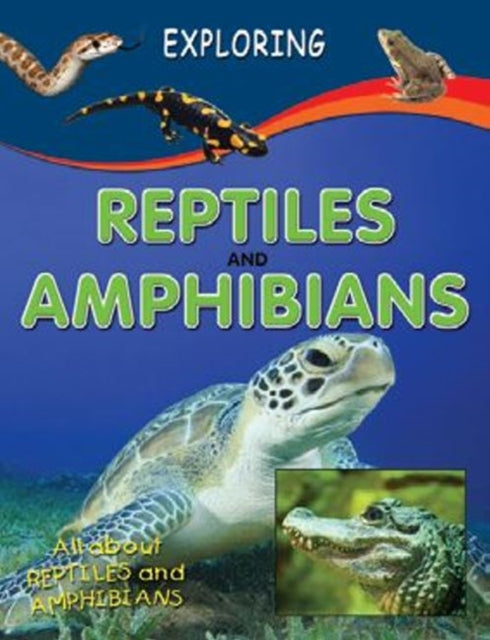 Reptiles & Amphibians