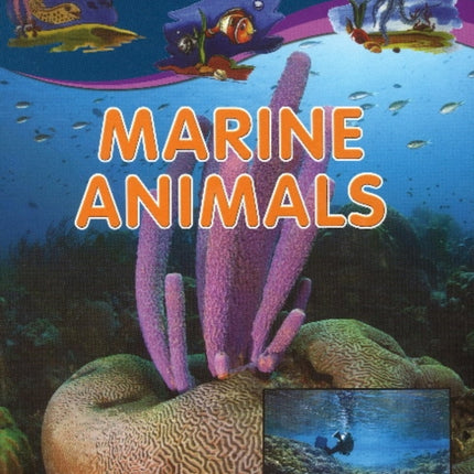 Marine Animals