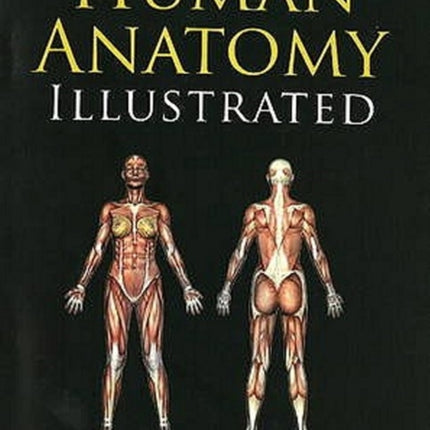 Human Anatomy Illustrated