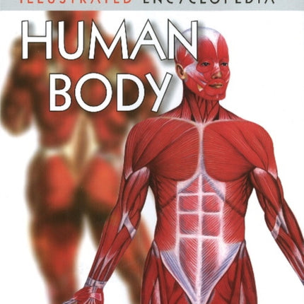 Human Body