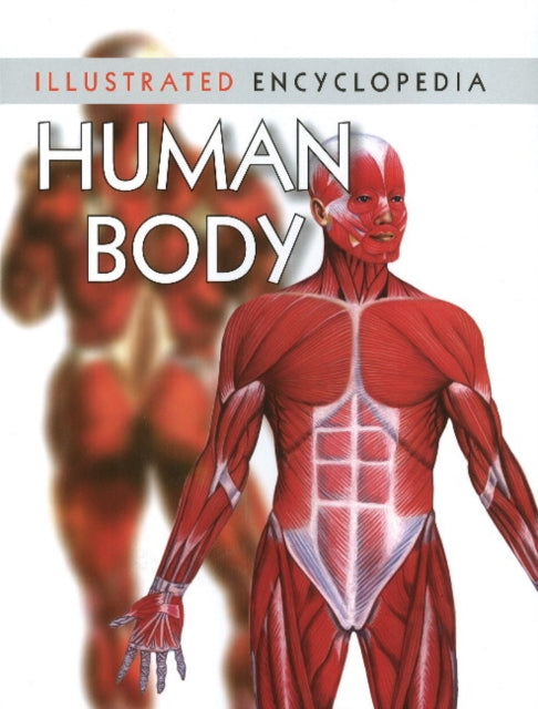 Human Body