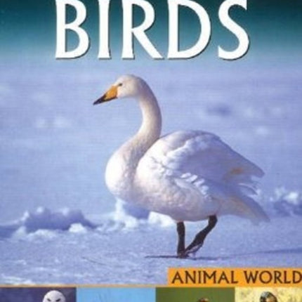 Birds: Pegasus Encyclopedia Library