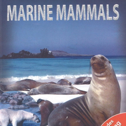 Marine Mammals