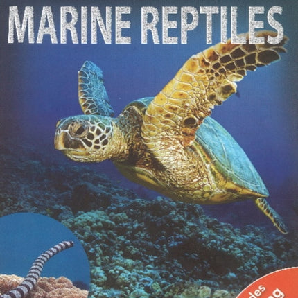 Marine Reptiles