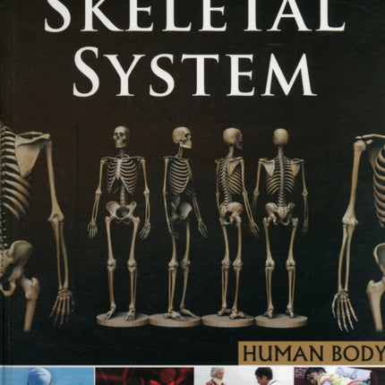 Skeletal System