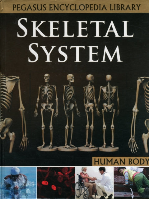 Skeletal System