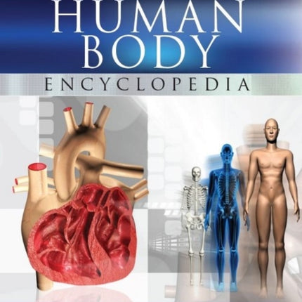 Human Body