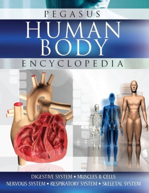 Human Body