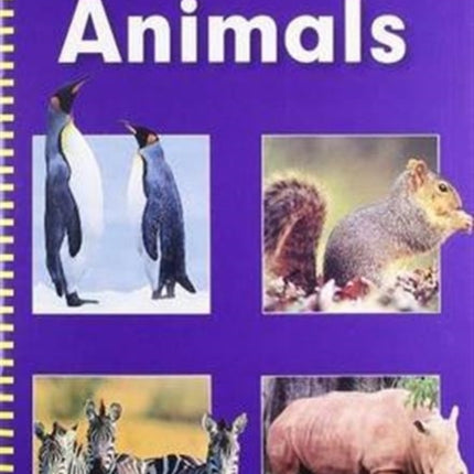 Animals