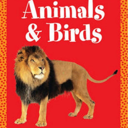 Animals & Birds - Flash Cards