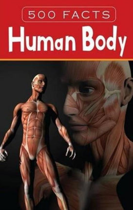 Human Body - 500 Facts