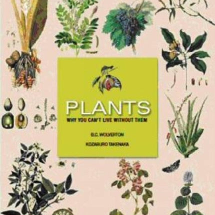 Plants