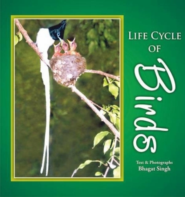 Life Cycle of Birds