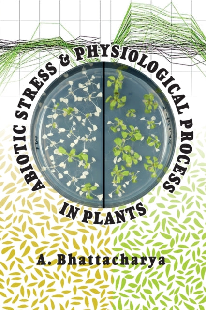 Abiotic Stress and Physiological Process in